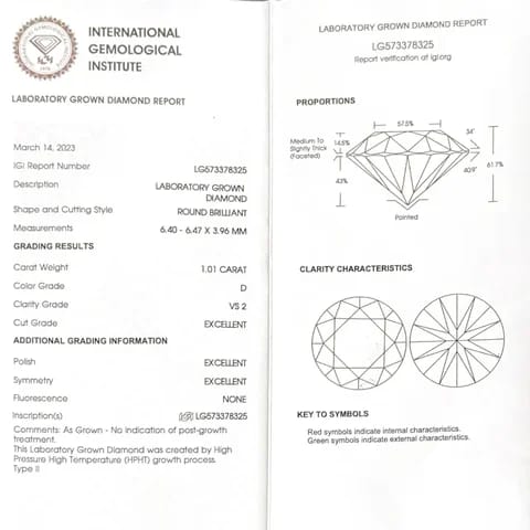 Oval Ava